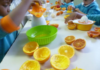 DEGUSTAZIONE   DELLA  FRUTTA  INVERNALE  :  LA SPREMUTA